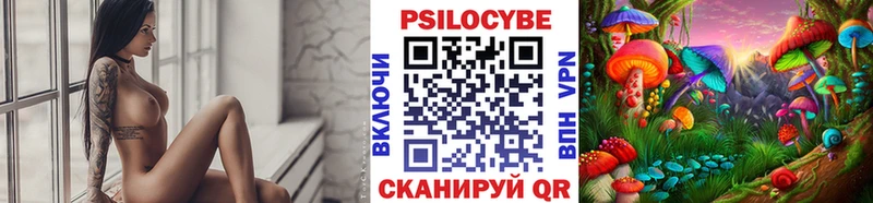 OMG   Менделеевск  Галлюциногенные грибы GOLDEN TEACHER 